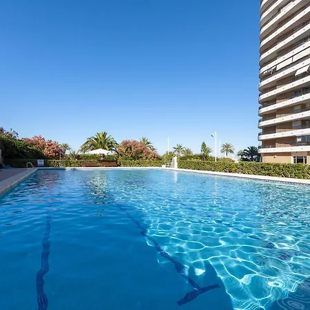 Ag San Paulo Premium